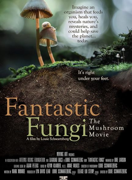 دانلود فیلم Fantastic Fungi